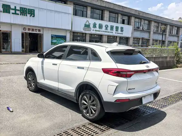WM Motor EX5 2019
