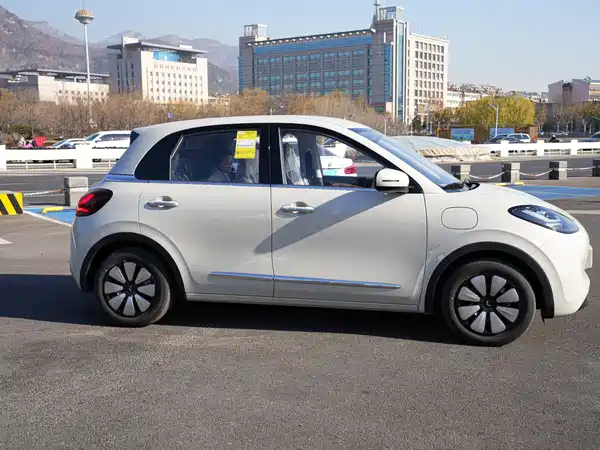 Wuling Bingo 2024