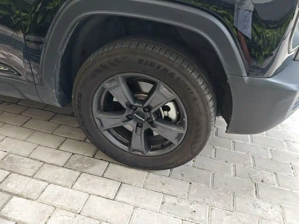 Haval Raptors New Energy 2023 — фото 24