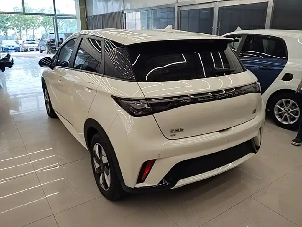 BYD Dolphin 2024