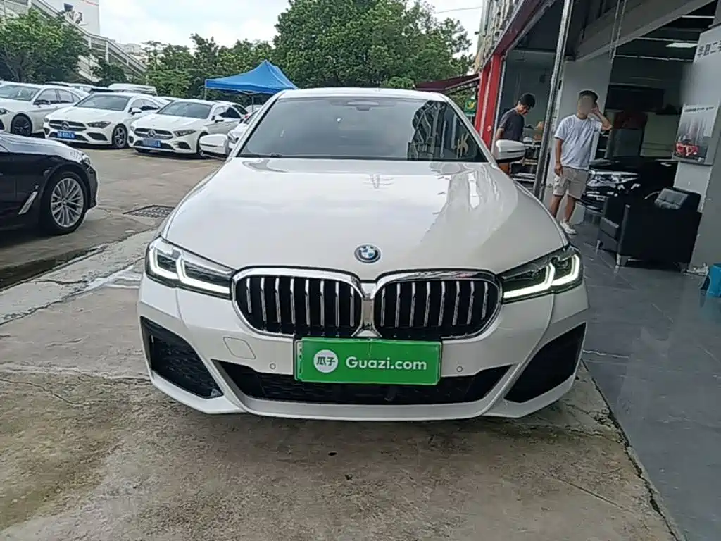 BMW 5 Series New Energy 2022