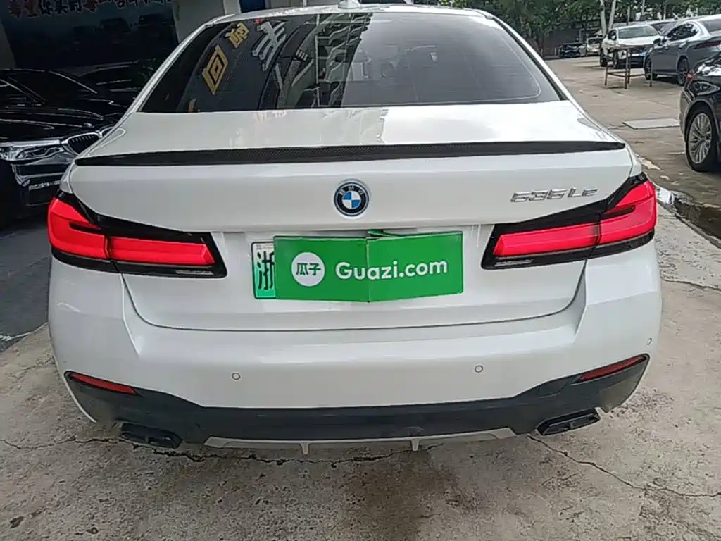 BMW 5 Series New Energy 2022