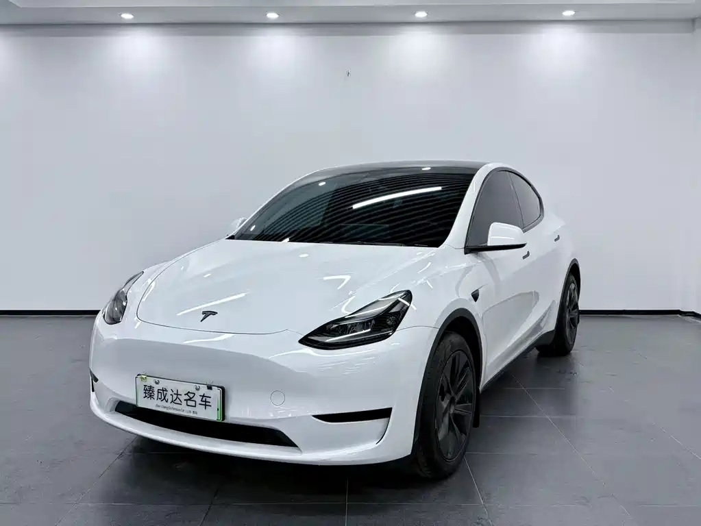 Tesla Model Y 2024 — фото 1
