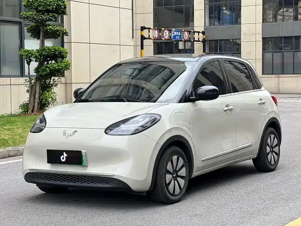 Wuling Bingo 2024