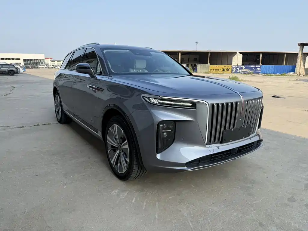 Hongqi E-HS9 2021