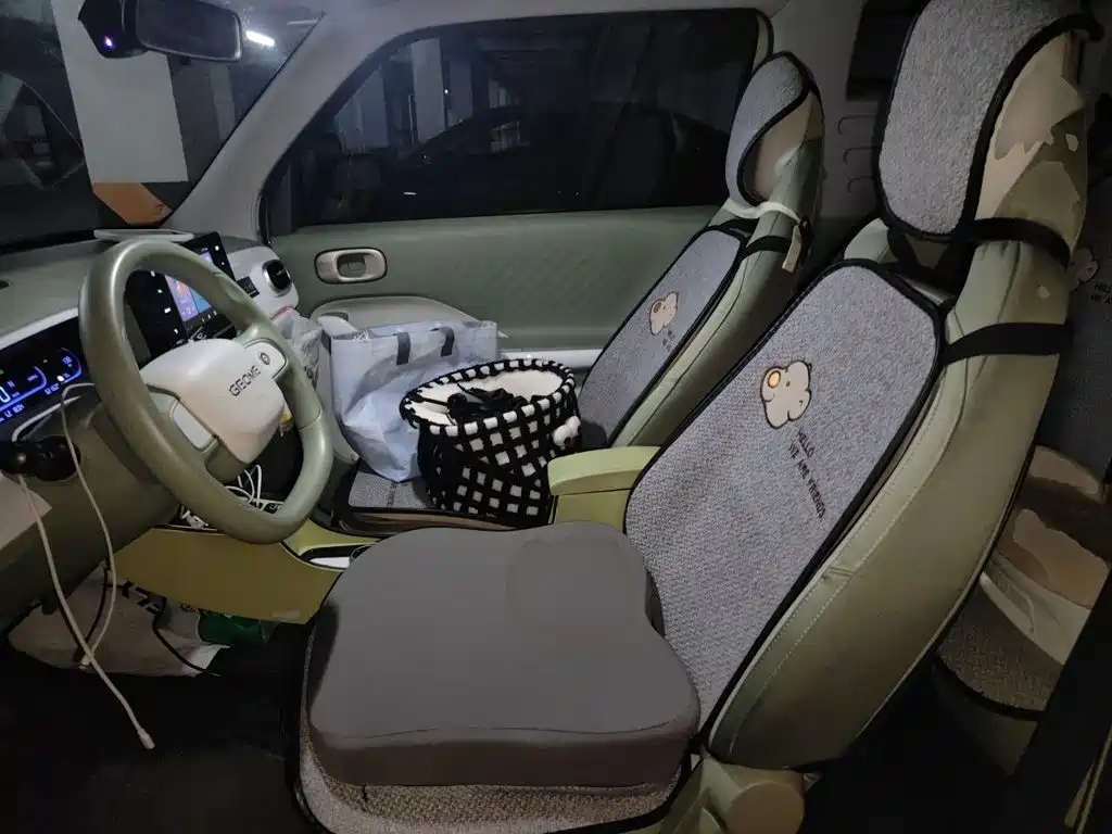 Geely Galaxy Panda 2024 — фото 16