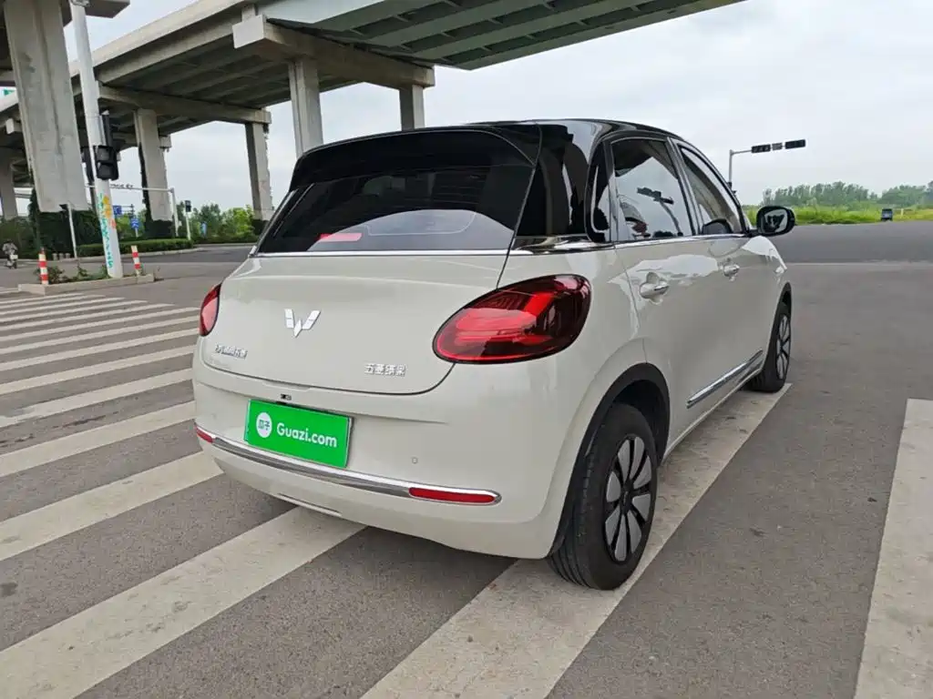 Wuling Bingo 2024