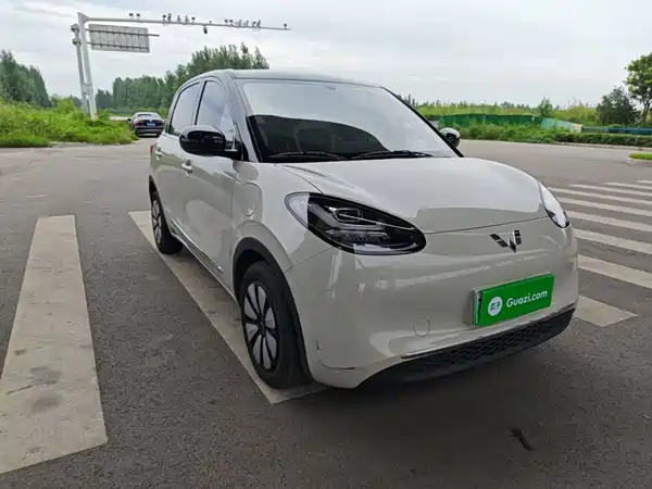 Wuling Bingo 2024