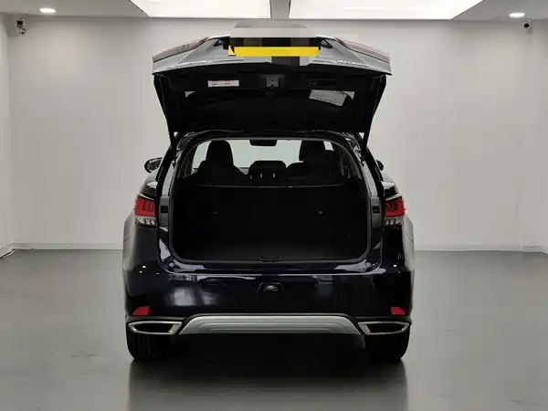 Lexus RX 2020