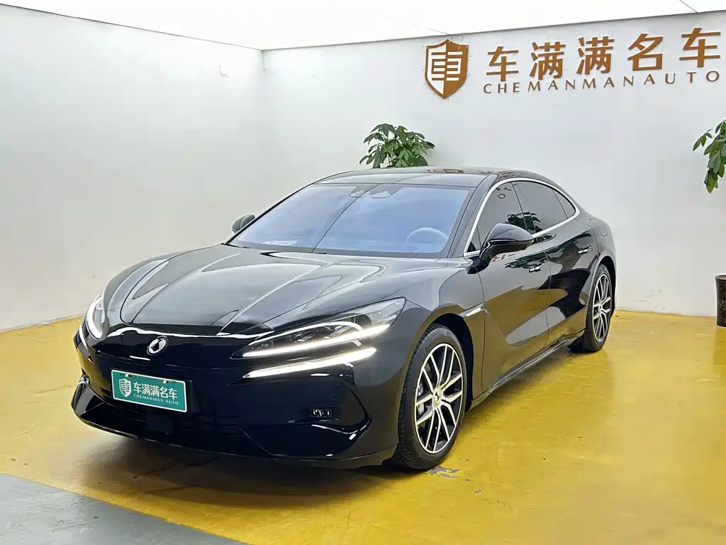 Denza Z9 2024