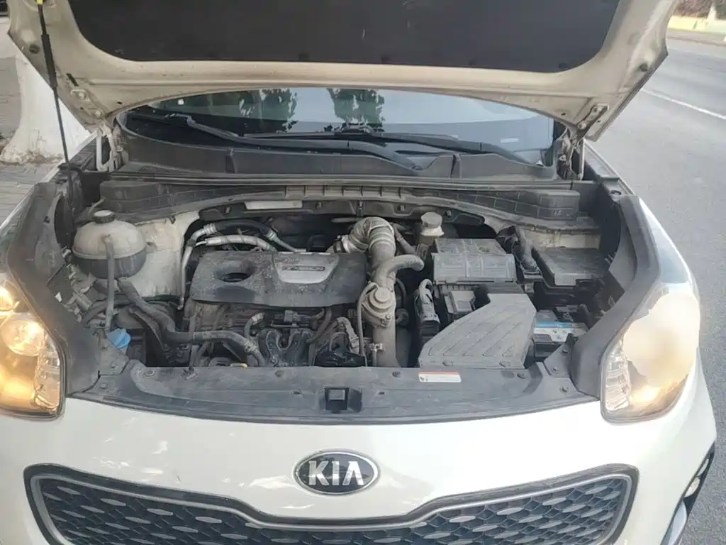Kia KX5 2016 — фото 16