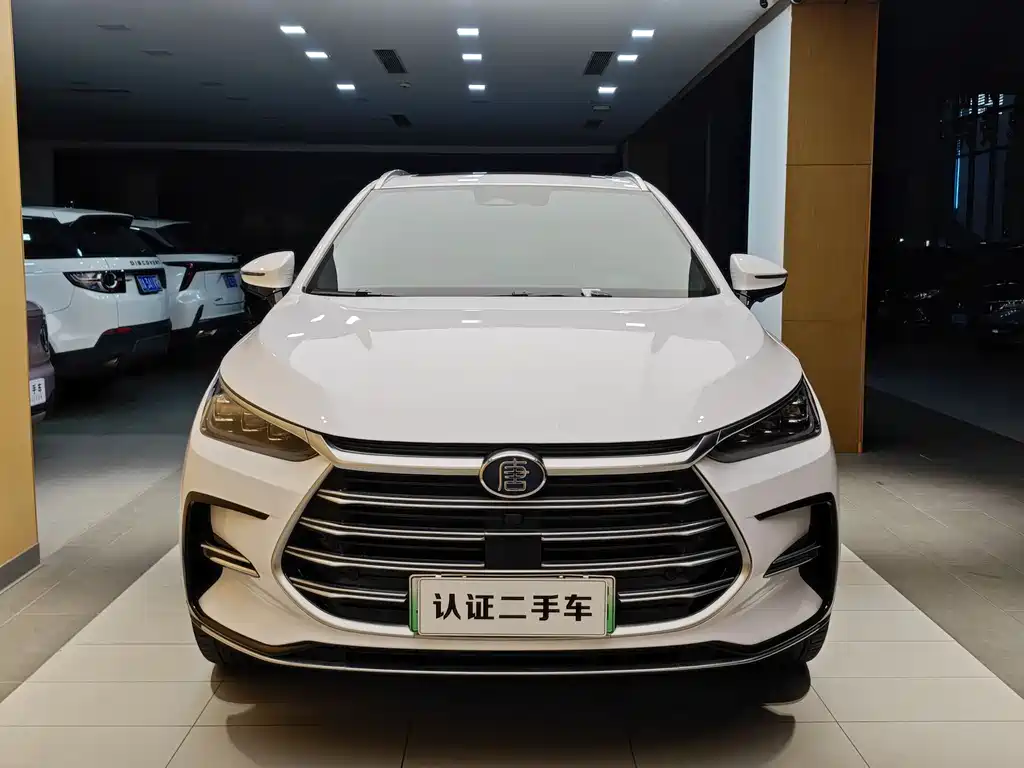 BYD Tang New Energy 2023 — фото 4