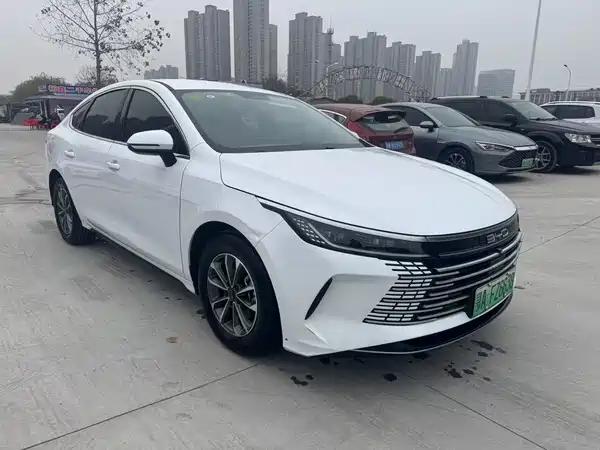 BYD Destroyer 05 2024