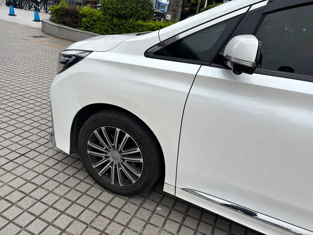 GAC Motor Trumpchi M8 2021 — фото 7
