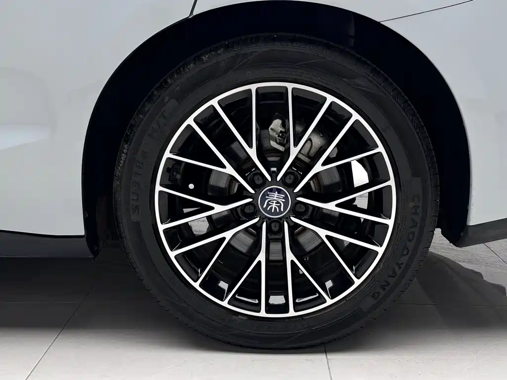 BYD Qin L 2024 — фото 18