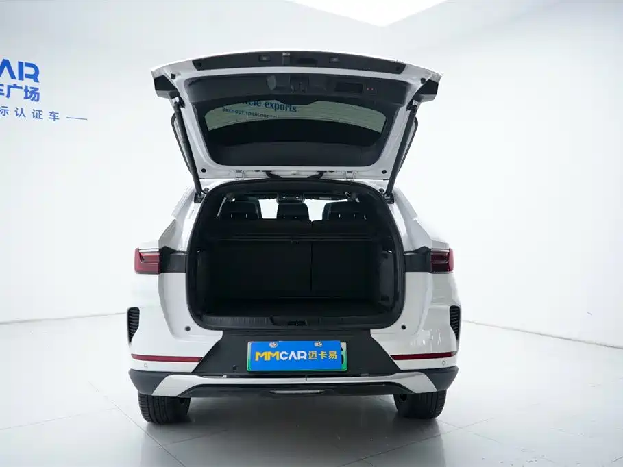 BYD PLUS New Energy 2023 — фото 4