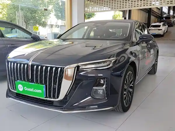 Hongqi H5 2024