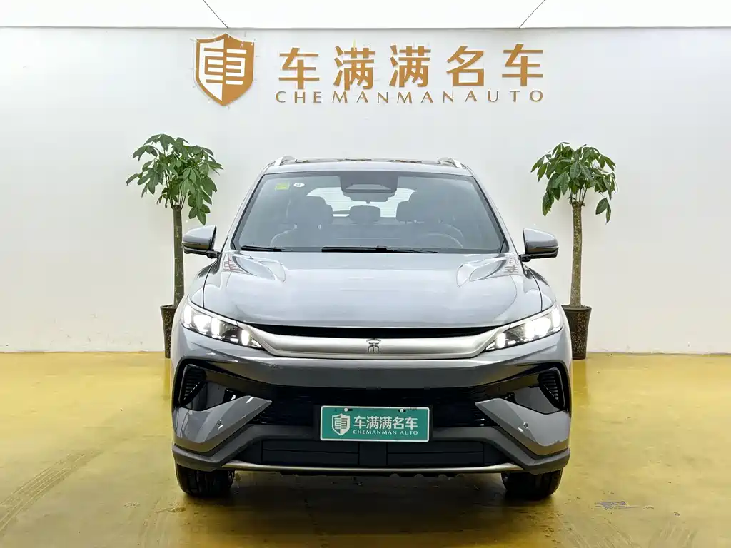 BYD Pro New Energy 2026 — фото 2