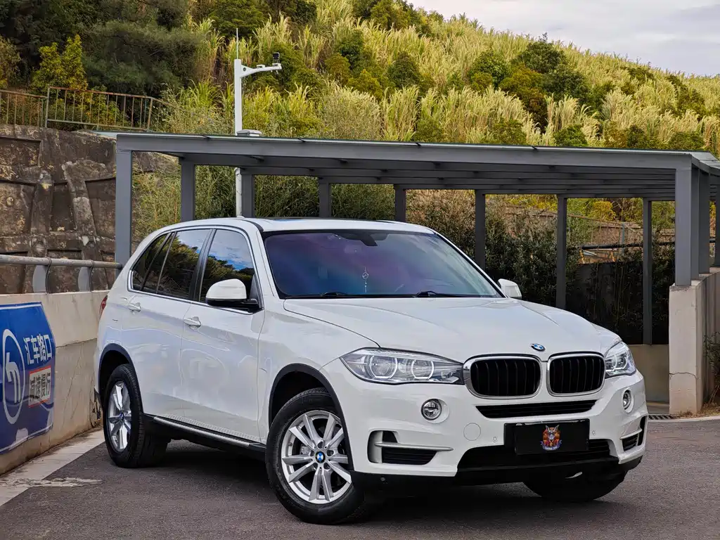 BMW X5 2017 — фото 3