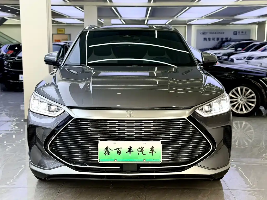 BYD Song PLUS New Energy 2023 — фото 2