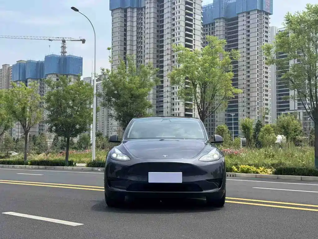Tesla Model Y 2024 — фото 2