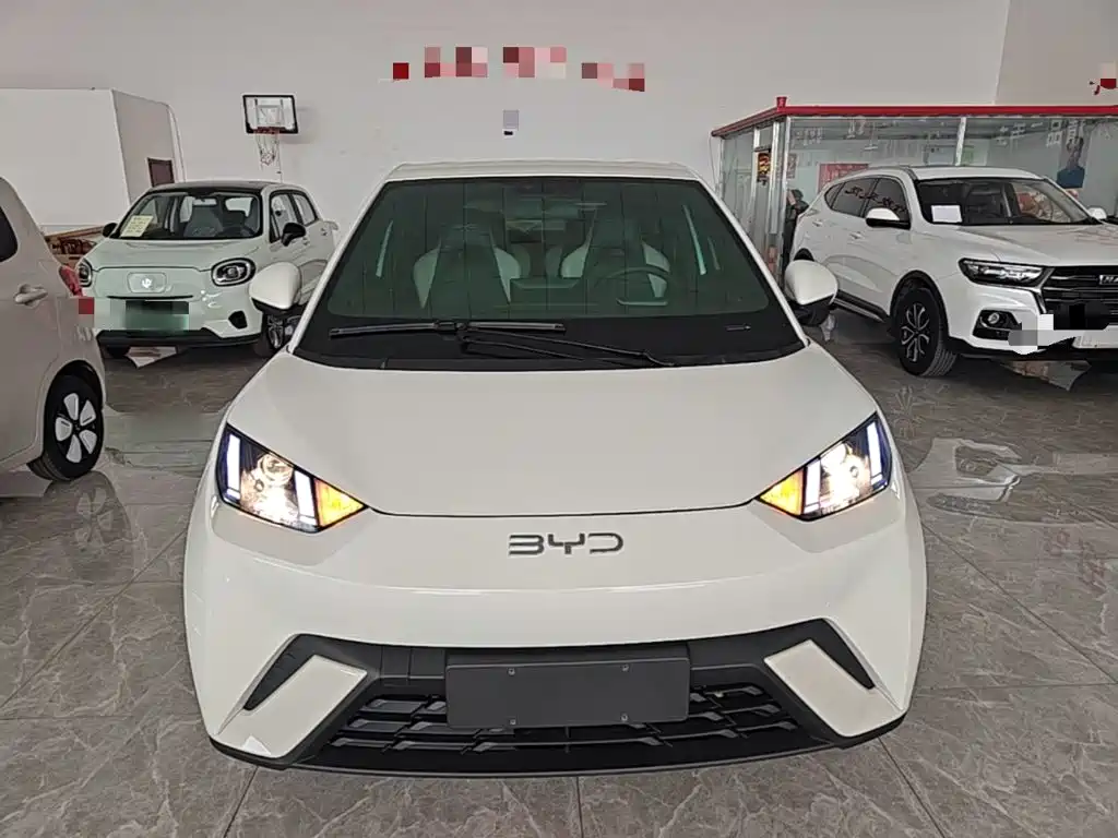 BYD Seagull 2024