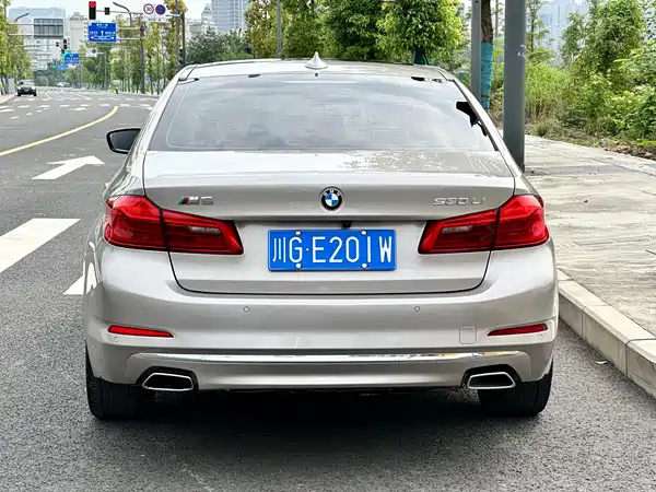 BMW 5 Series 2019