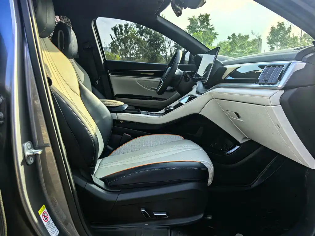 BYD Song PLUS New Energy 2022 — фото 6