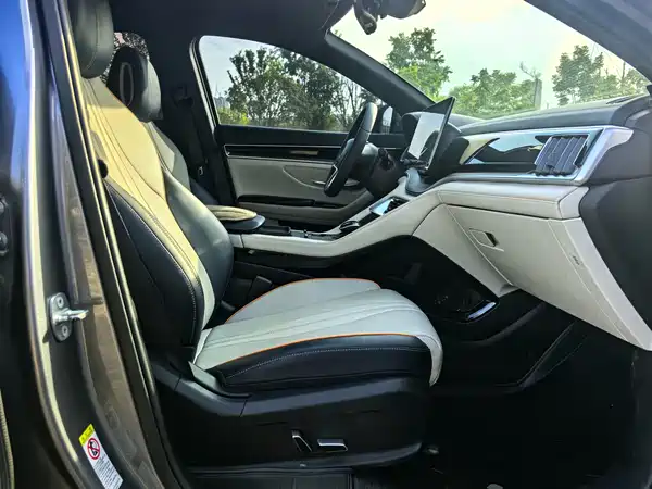 BYD Song PLUS New Energy 2022