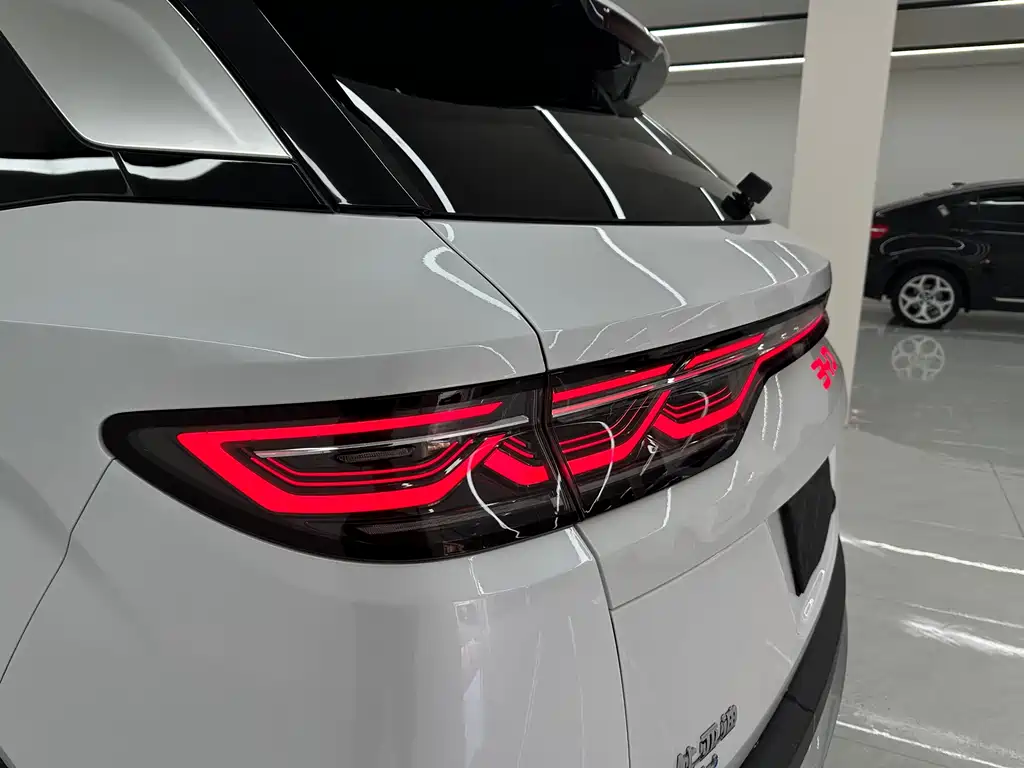 BYD L DM-i 2025 — фото 23