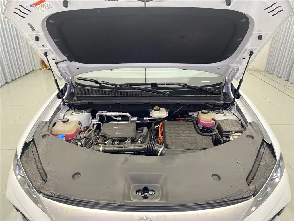BYD Pro New Energy 2025 — фото 20