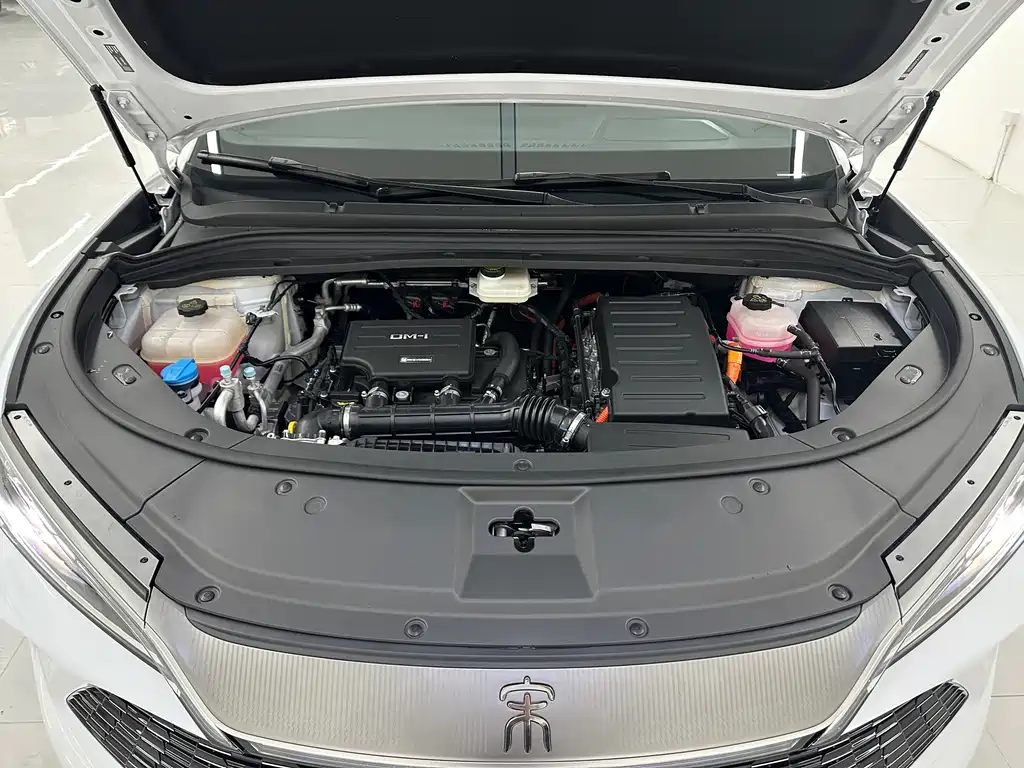 BYD L DM-i 2025 — фото 19
