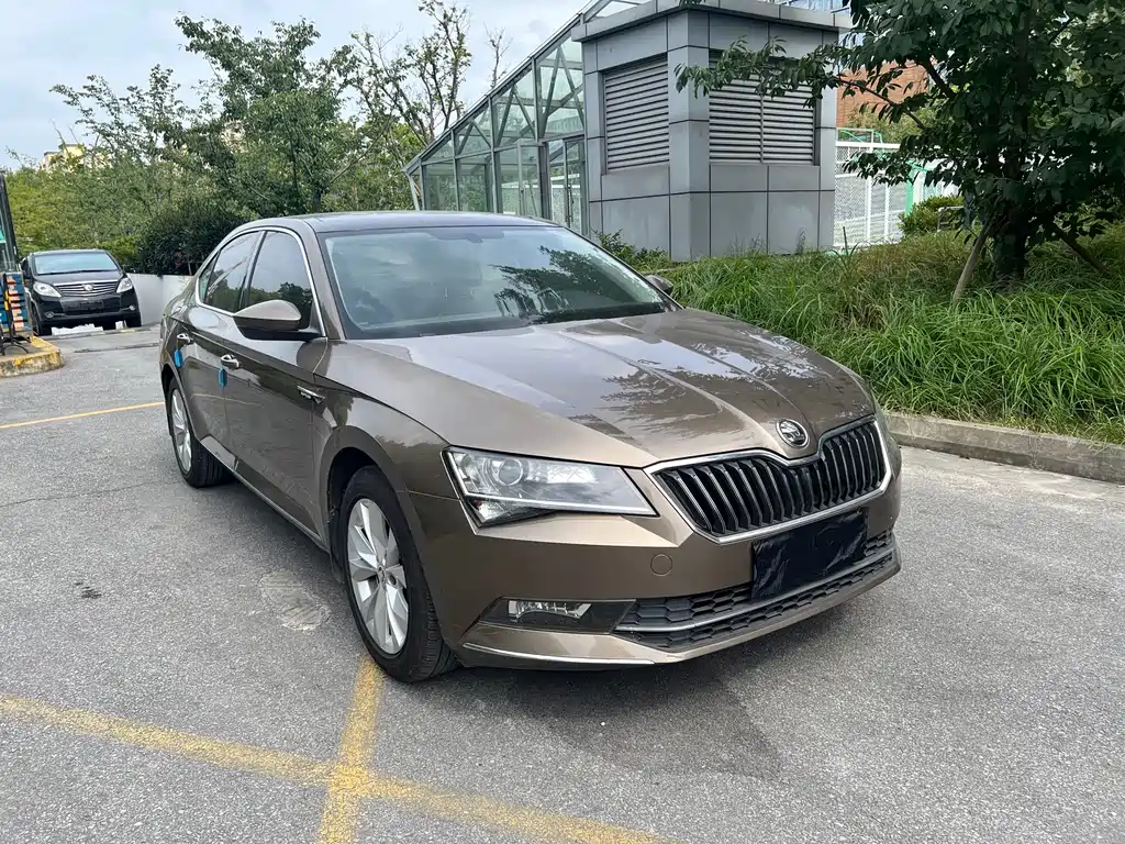 Skoda Speedy 2017