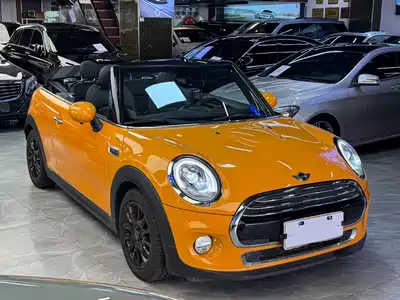 MINI MINI 2017