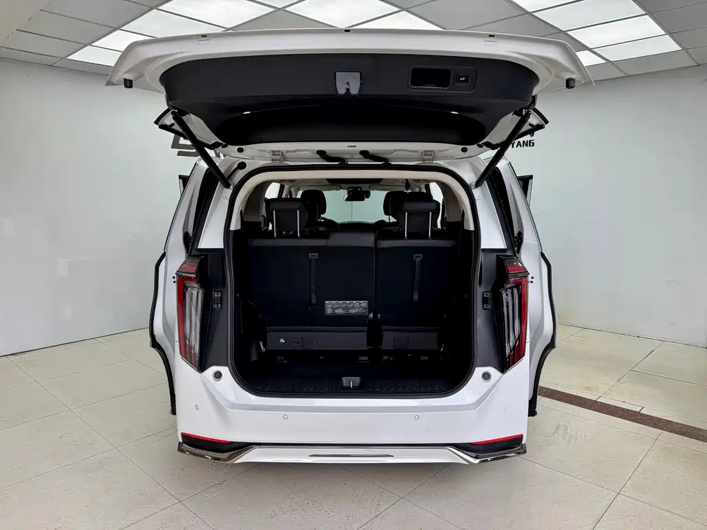 GAC Motor Trumpchi E9 2023 — фото 22