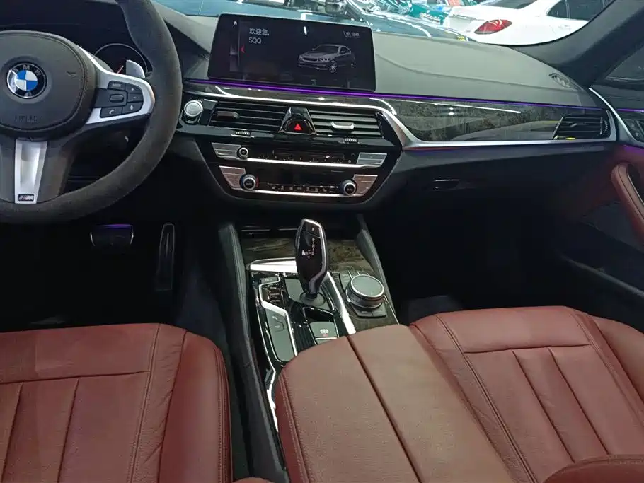 BMW 5 Series 2019 — фото 16
