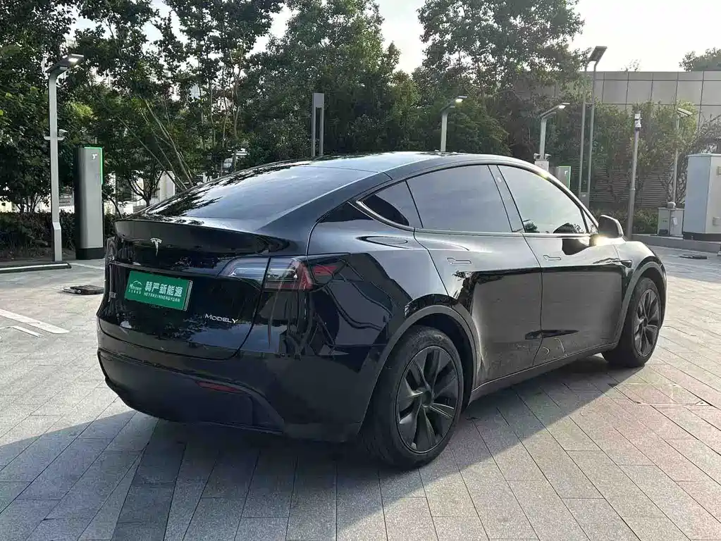 Tesla Model Y 2024 — фото 10