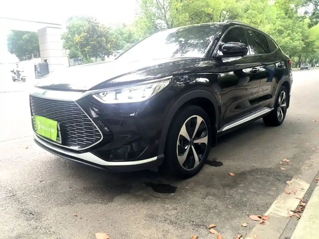 BYD PLUS New Energy 2022 — фото 2