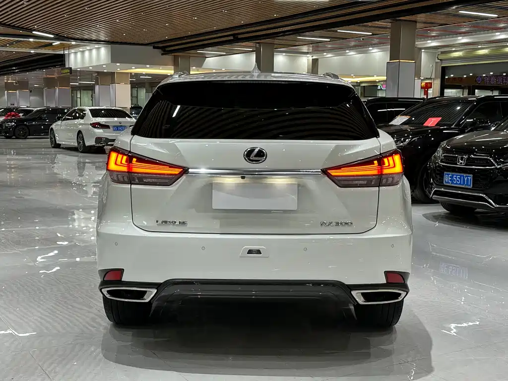 Lexus RX 2022 — фото 5