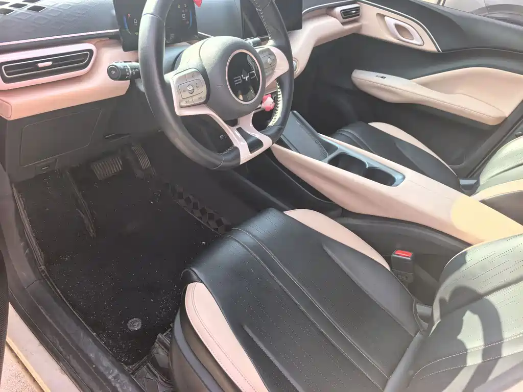 BYD Seagull 2024