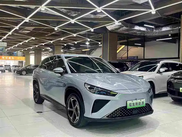 Neta L 2024