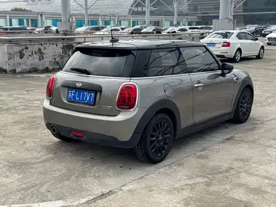 MINI MINI 2020