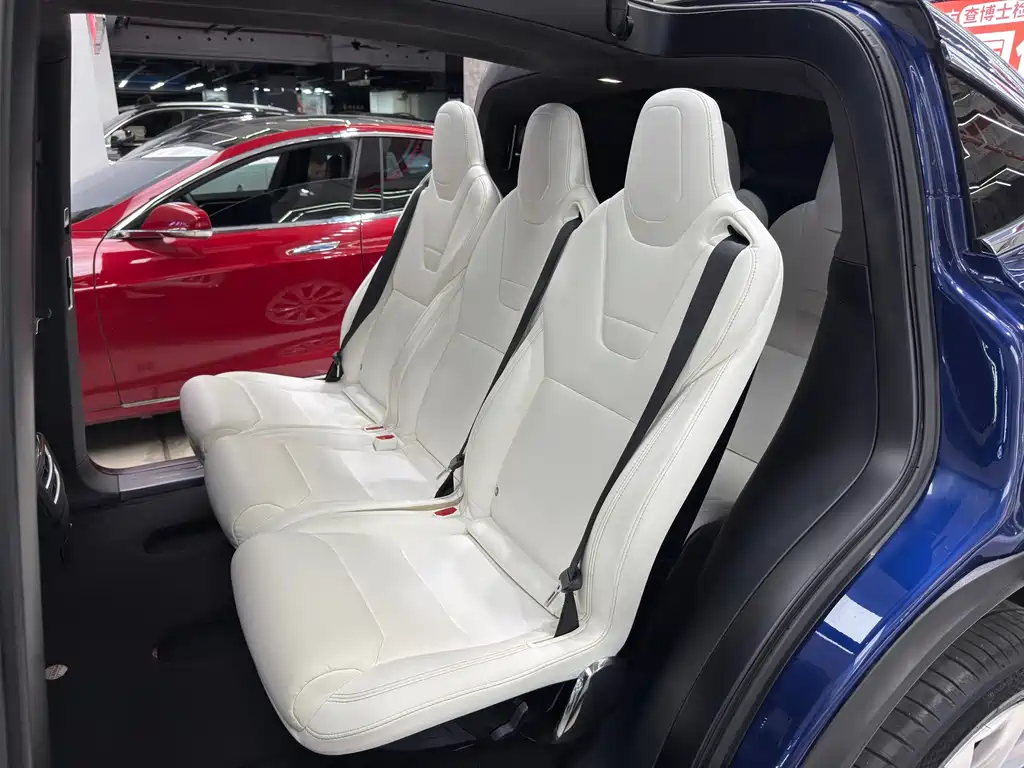 Tesla Model X 2017 — фото 16