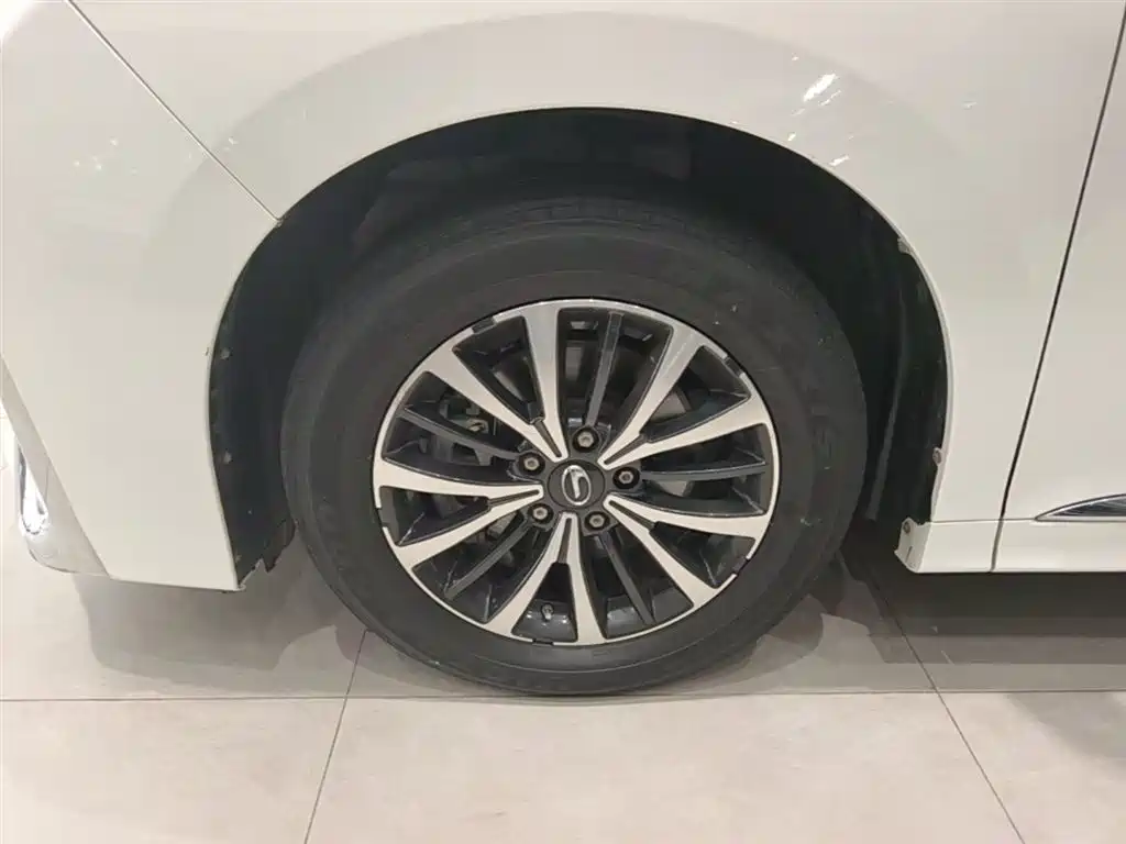 GAC Motor Trumpchi M8 2021 — фото 23
