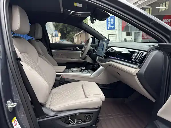 BYD Tang New Energy 2025
