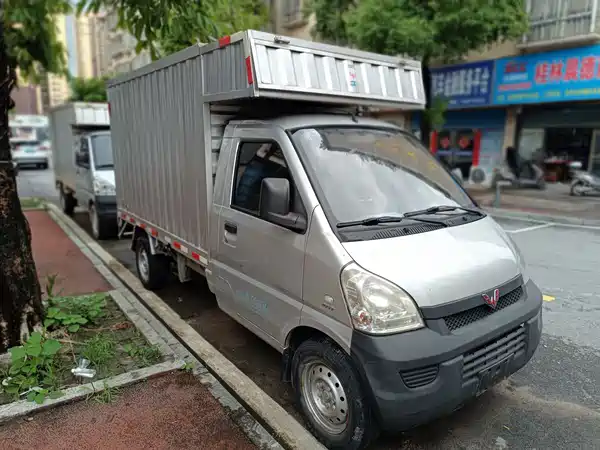 Wuling Rongguang Light Truck 2019