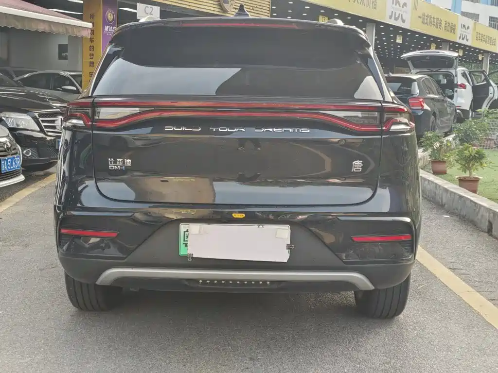 BYD Tang New Energy 2023 — фото 10