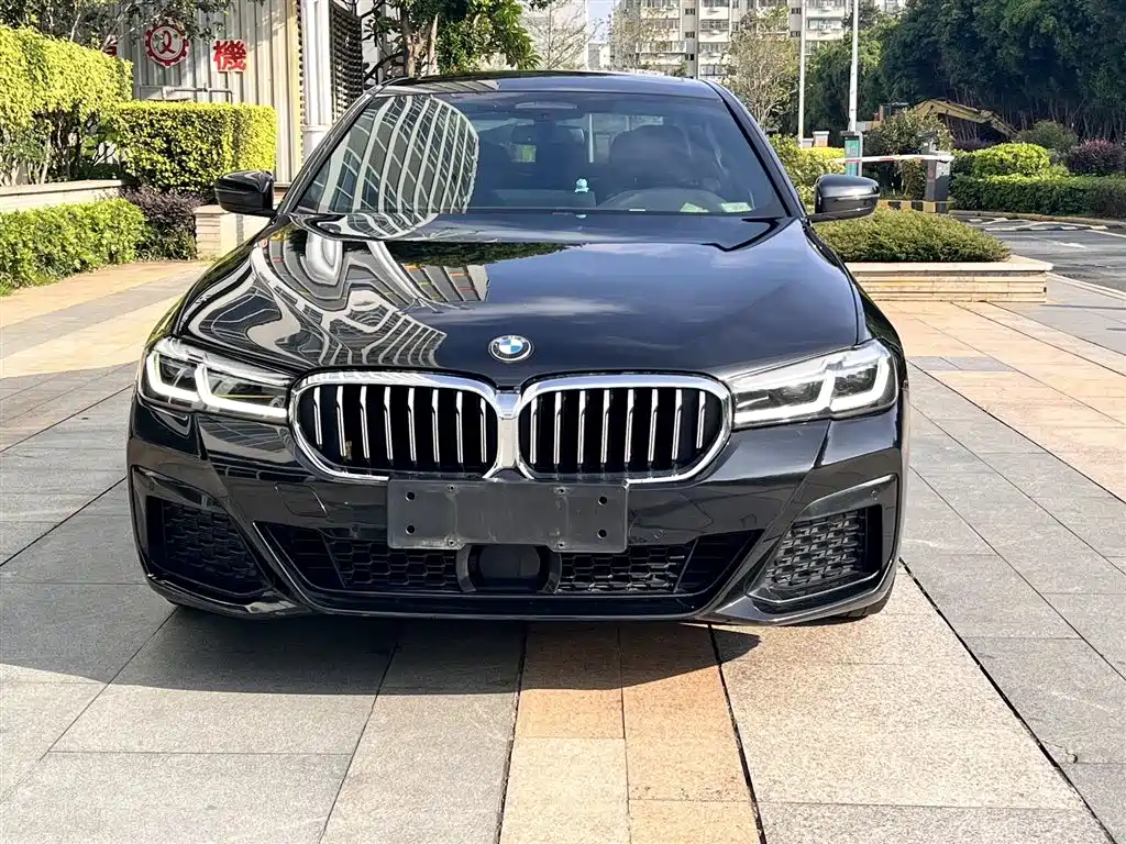 BMW 5 Series New Energy 2021 — фото 2