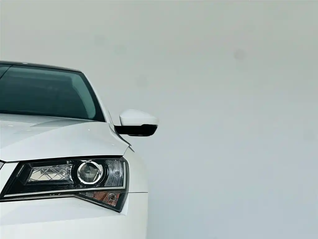 Skoda Speedy 2016 — фото 10
