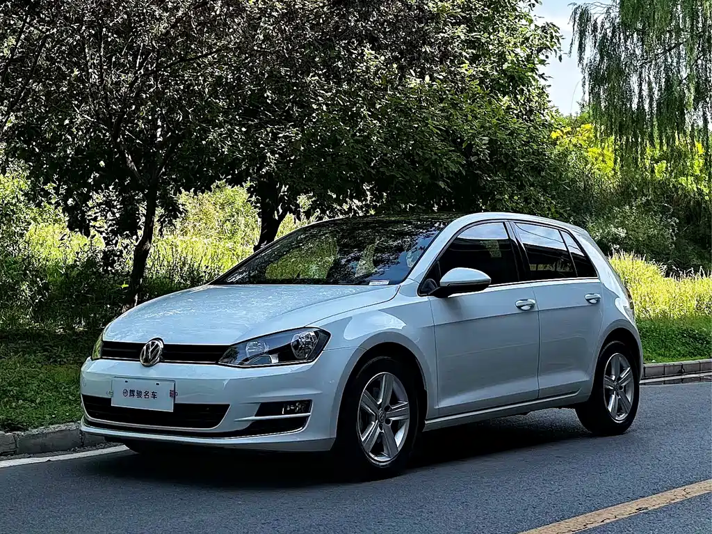 Volkswagen Golf 2015 — фото 1